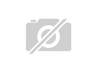 Suche Halsbandleguan Weibchen